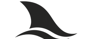 Lashachi